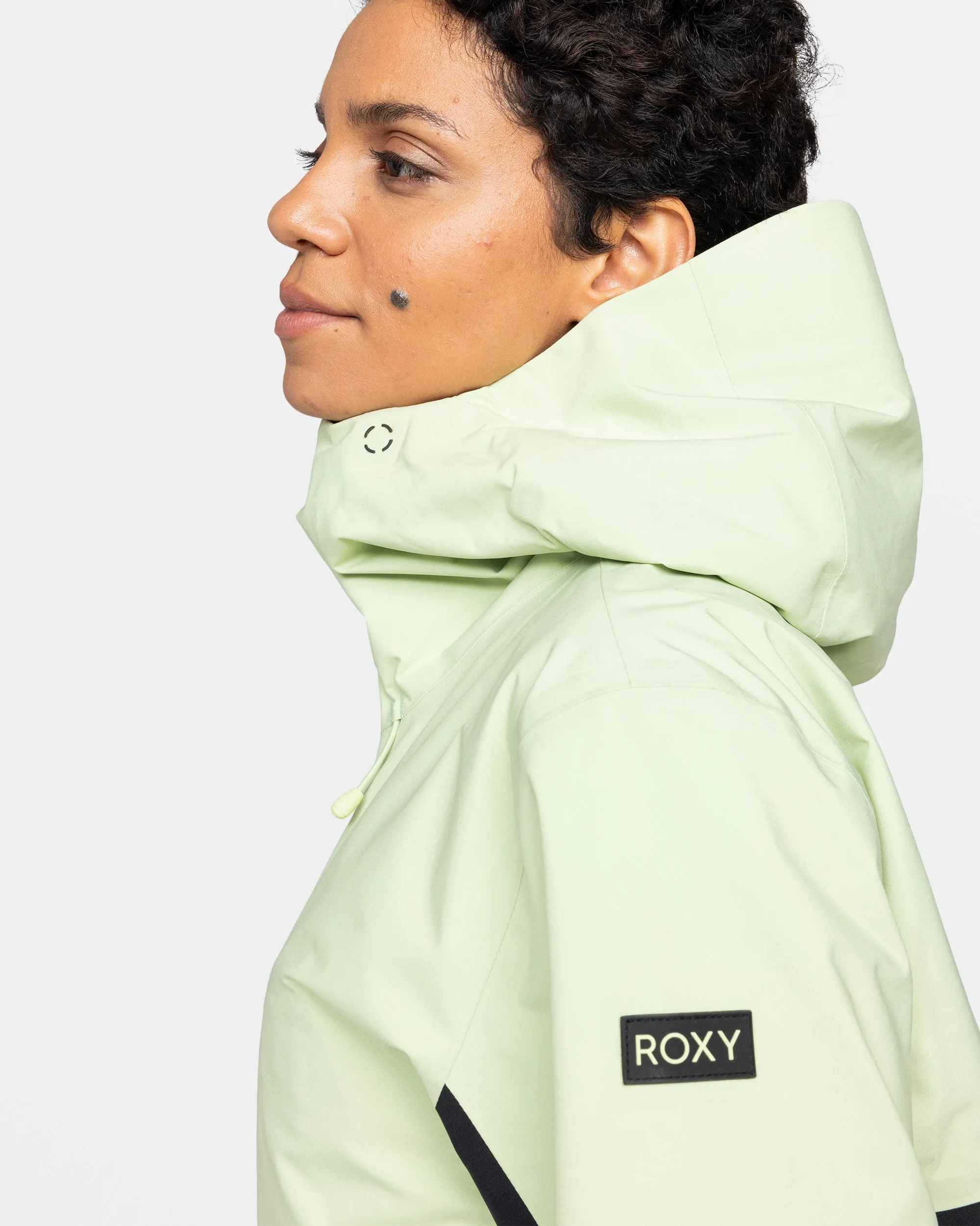 Gore-Tex Stretch Purelines Snow Jacket - Butterfly