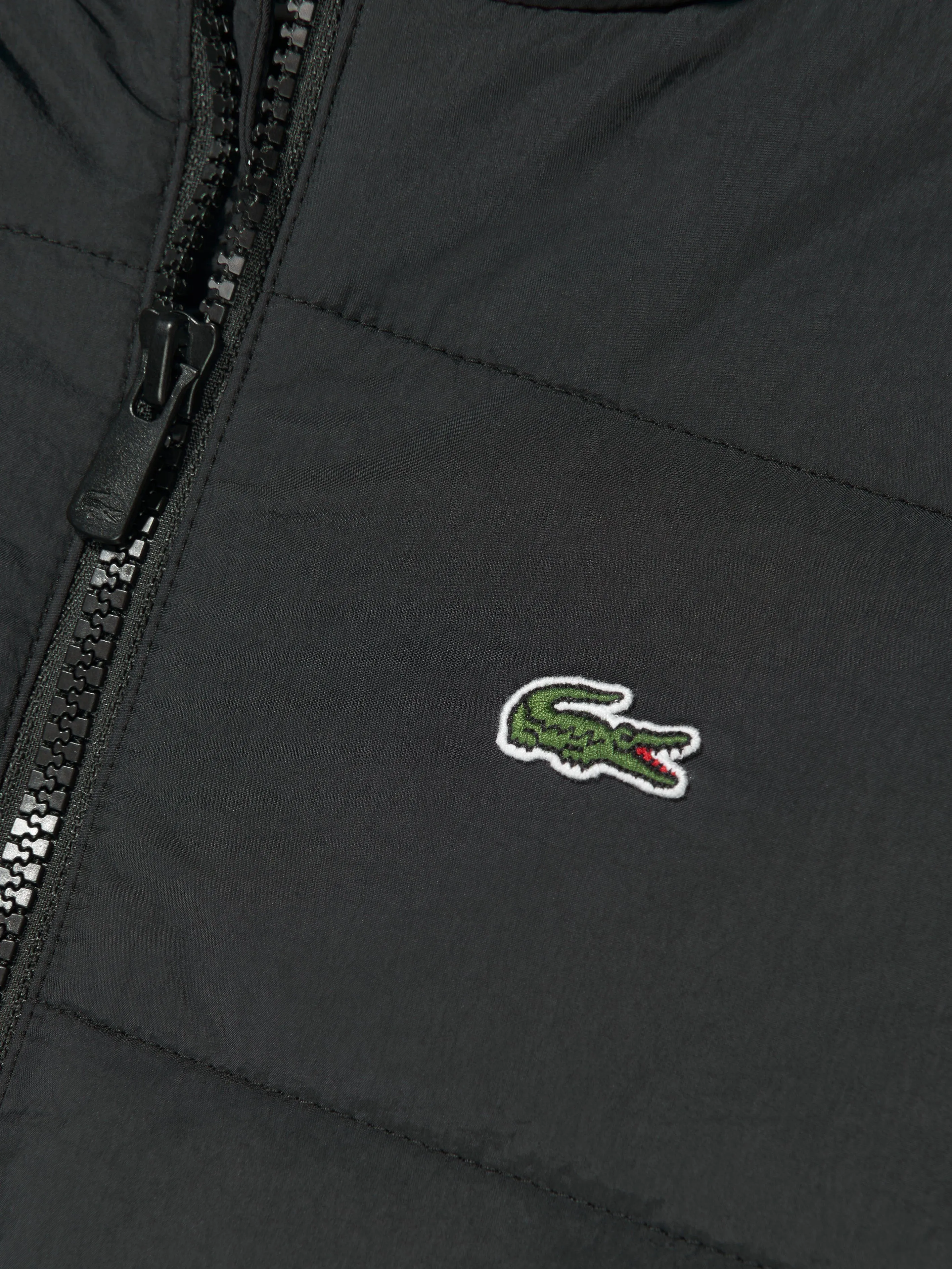 Lacoste Boys Padded Logo Jacket