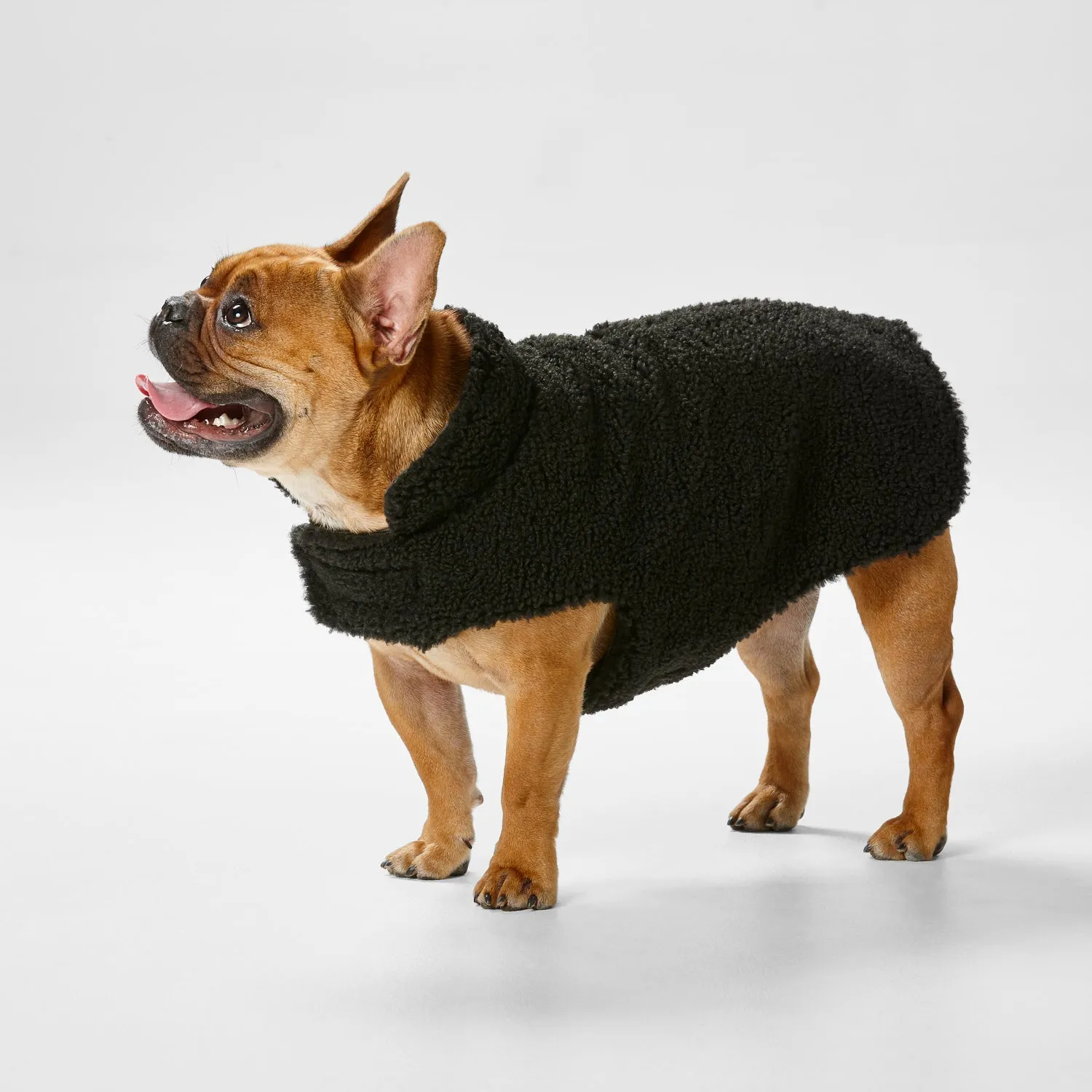 Snooza Dog Apparel Reversible Jacket Teddy Black Large ***